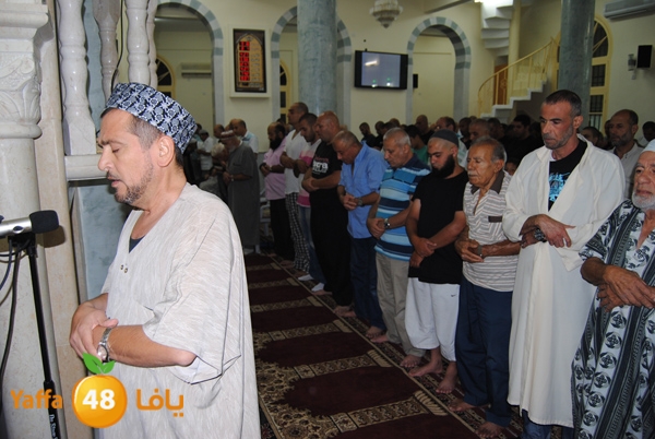 3akila jame3 803 (6).JPG